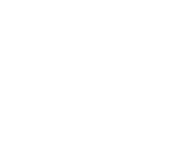 Cisco Partner