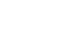 Drive Savers Reseller