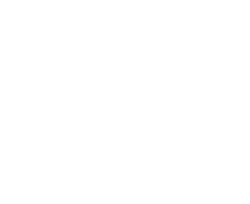 Eset Partner