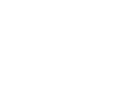 Generalscan Partner