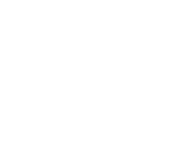 TeamViewer Partner
